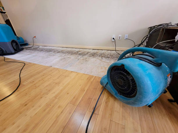Professional Water Removal technician working in Castle Rock, CO